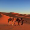 Marrocos_Deserto1